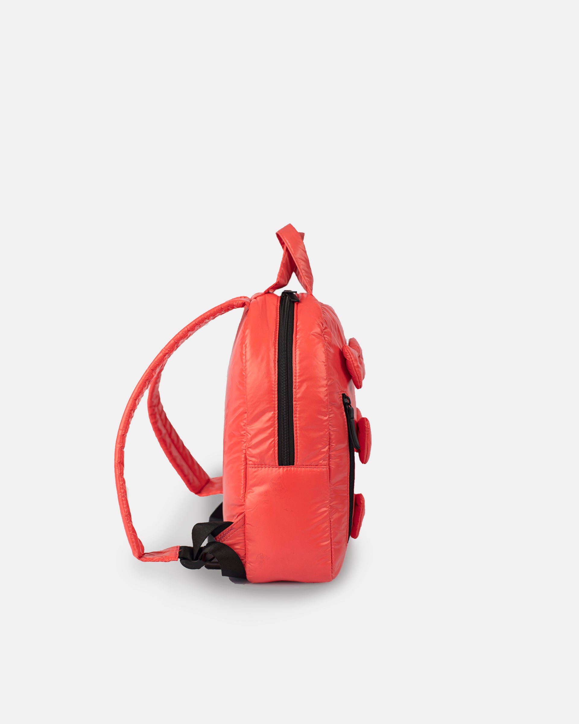 Coral//MINI