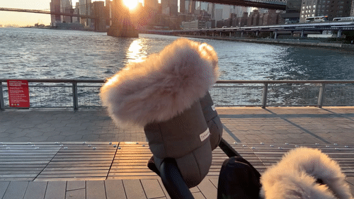 Heather Grey Dark - Arctic Faux Fur//